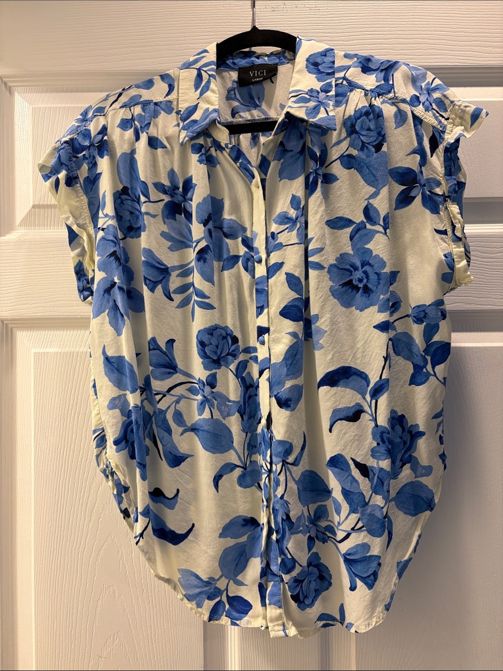 VICI Cream and Blue Floral Button-Down Blouse